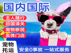 庆阳空运代理国际宠物托运 【国